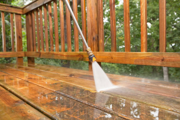 Best Gutter Cleaning and Brightening in Fremont, NC